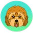 Cockapoo logo