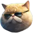 Fat Cat logo