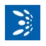 BtcTurk | Kripto logo